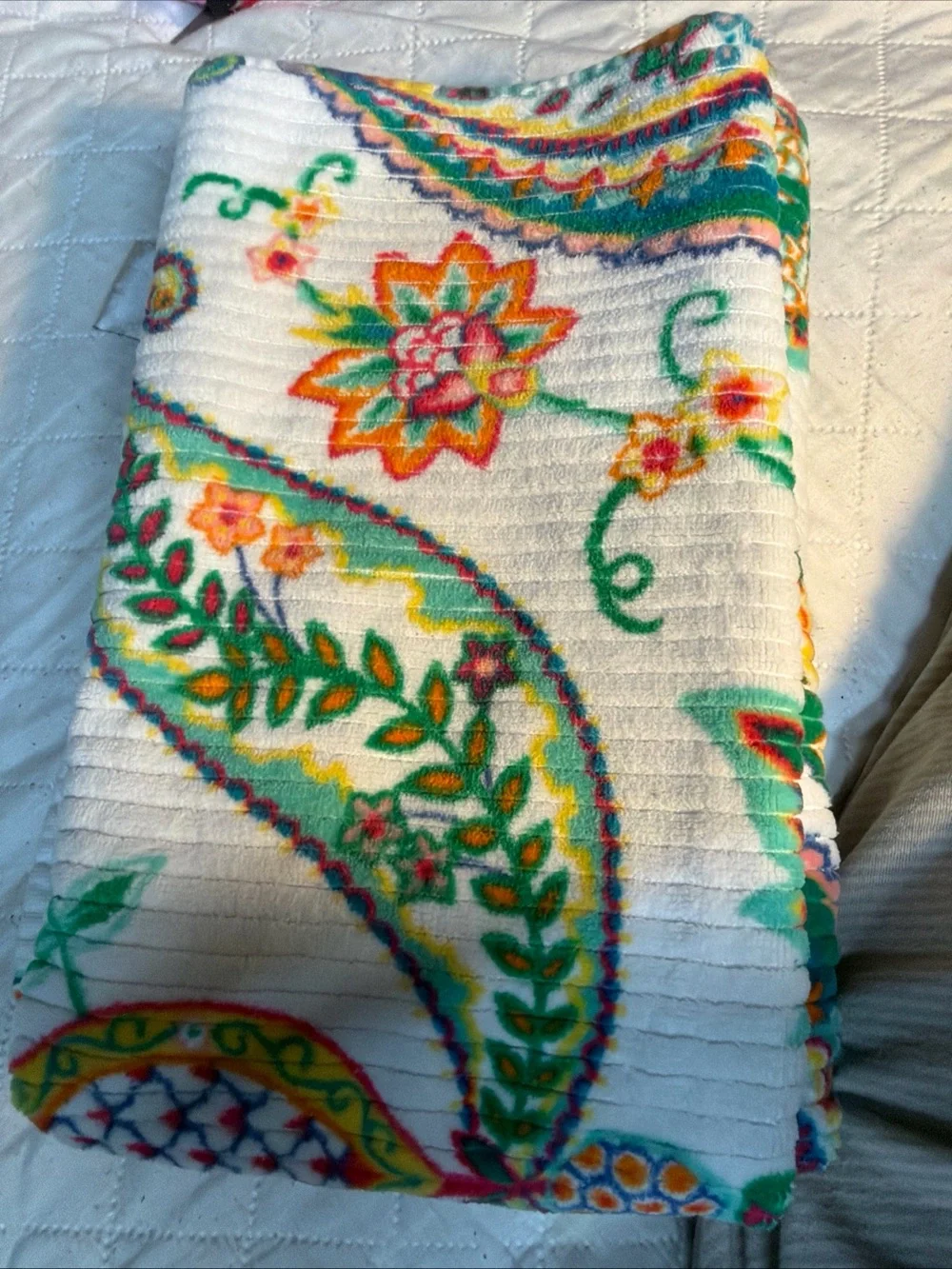 Bella Lux 55x29 discontinued set of 2 Vibrant Teal & Coral Paisley Bath Towel